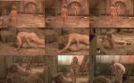 CelebrityVideo.Ru : Jenny Agutter nude, naked - голая, обнаж